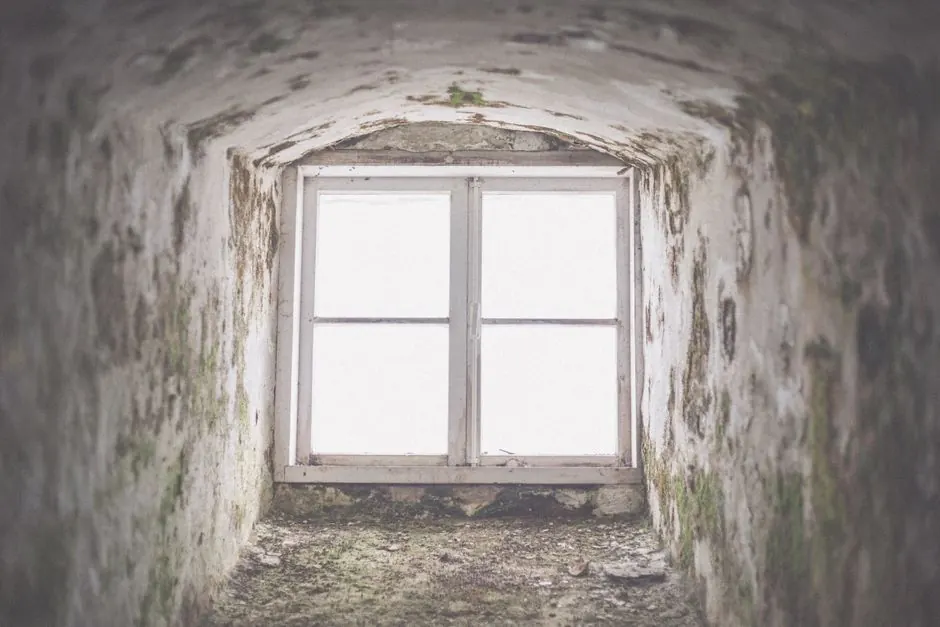 Why is my home getting moldy in Atlanta?